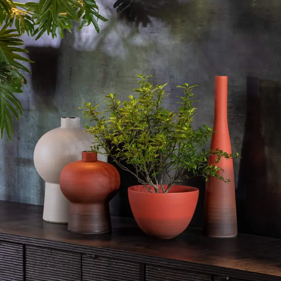 Superior Rina Menardi Ciotole bowl crafted from baked clay with reddish-brown tonal variations and a matte finish