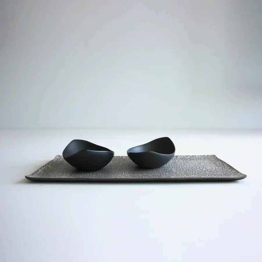 Exceptional Rina Menardi Vassoi Rettangolari centerpiece tray crafted in dark gray with a matte finish and network pattern