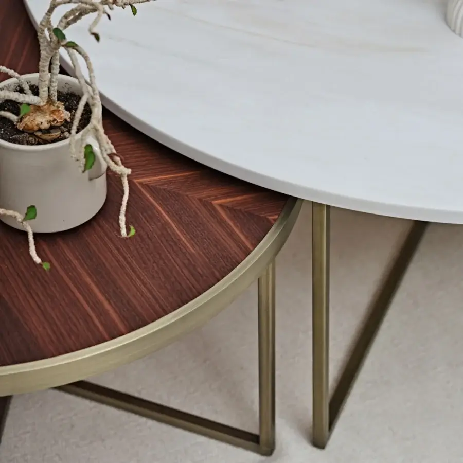 Elliot Coffee Table #10