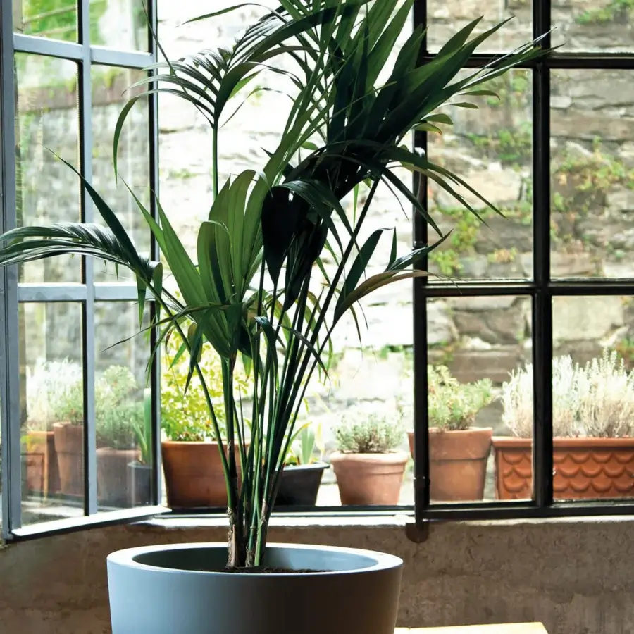 Cup Planter #3