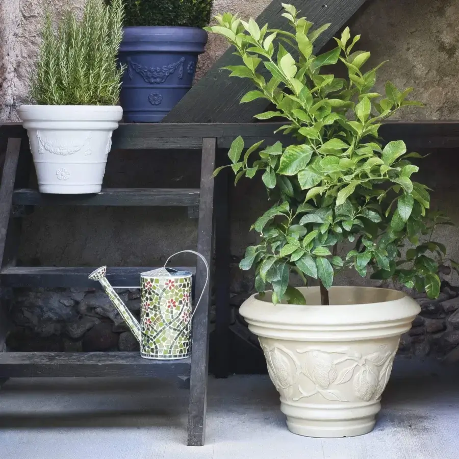 Elegant Serralunga Decorati Limoni planter crafted in off-white LLDPE plastic with a subtly textured, rounded form