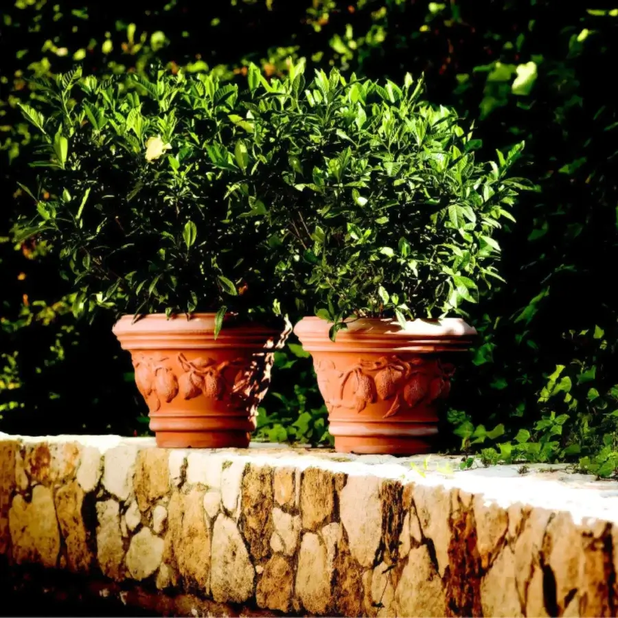 Distinguished Serralunga Decorati Limoni planter with lemon reliefs crafted in recyclable terracotta LLDPE and a matte finish