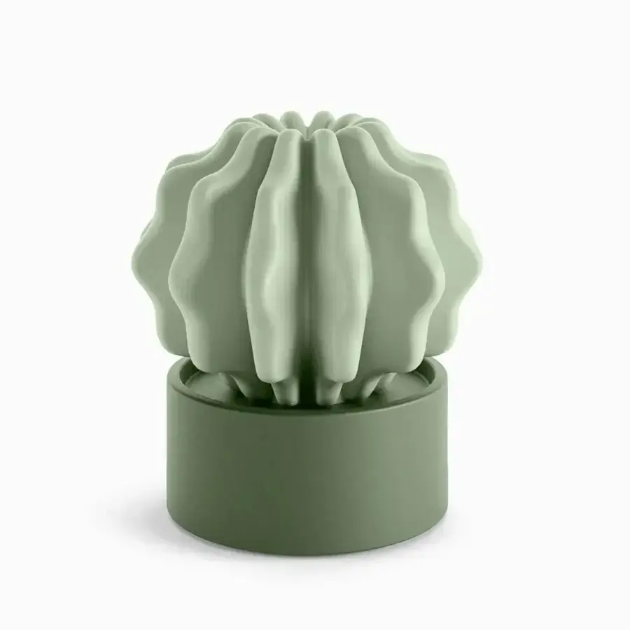 Superior Serralunga Cactus decorative sculpture with organic form in pastel green LLDPE and matte finish
