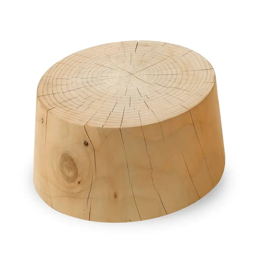 Exclusive Riva 1920 Legno Vivo coffee table crafted in light beige wood with visible growth rings and satin finish