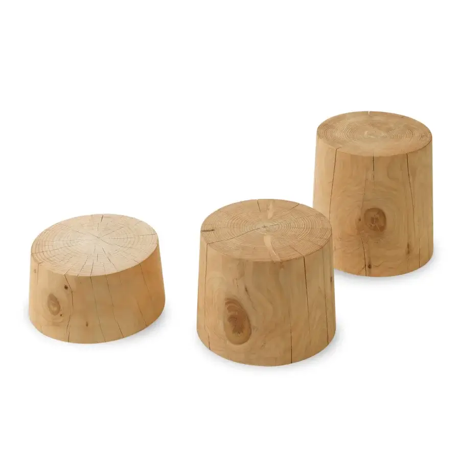 Distinguished Riva 1920 Legno Vivo coffee table crafted in warm yellow-brown wood with striking knots and a matte finish
