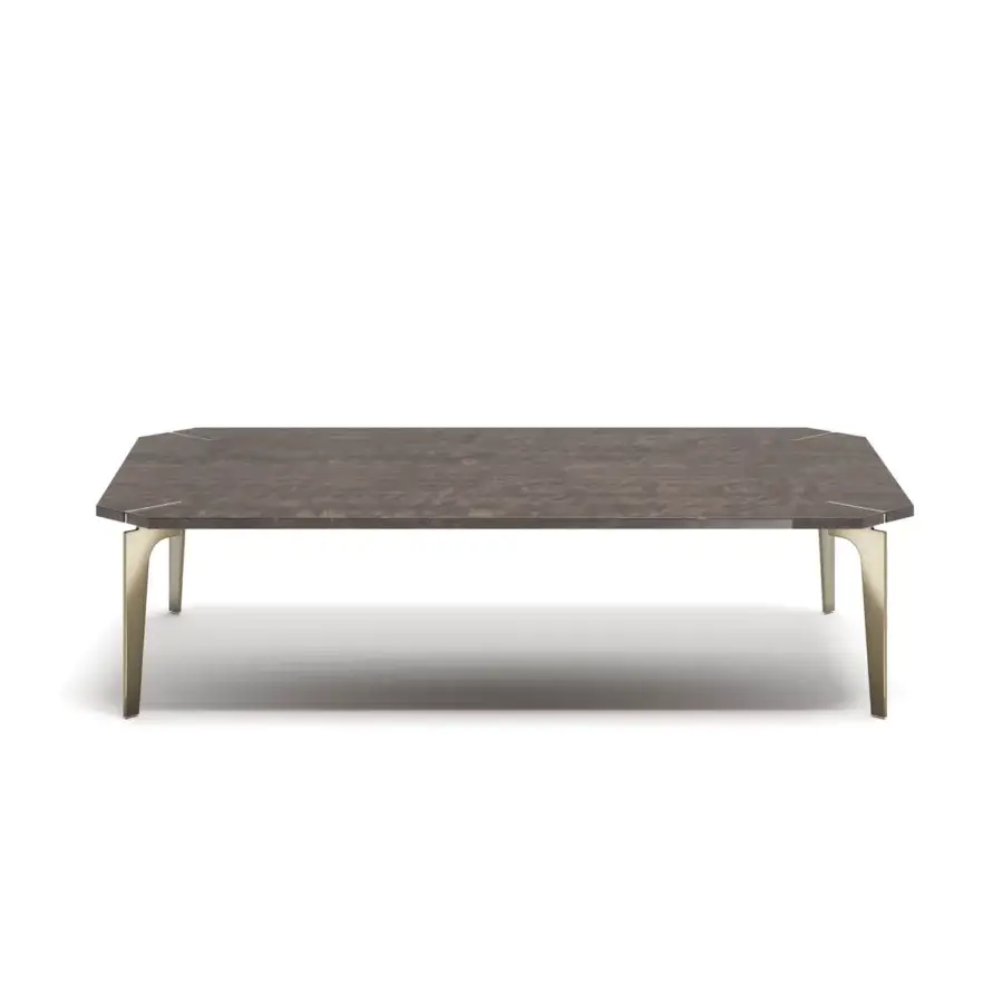 Superior Capital Eclectic coffee table with rectangular wood tabletop and sleek golden metal legs in a matte finish