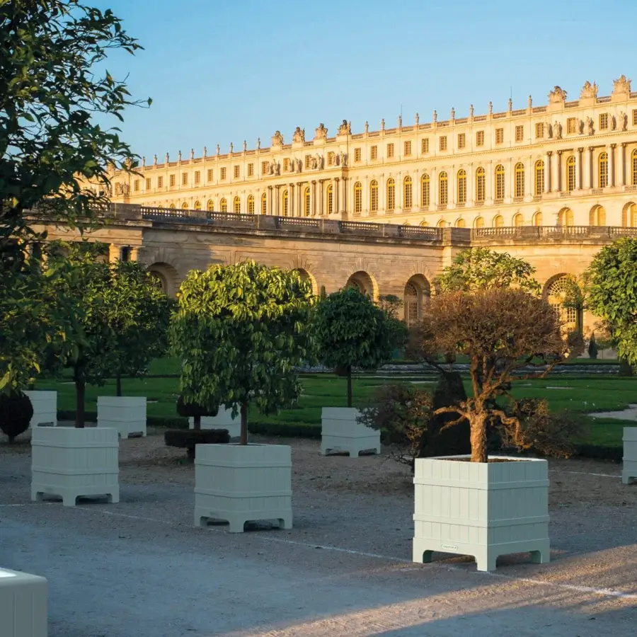 Versailles Planter #3