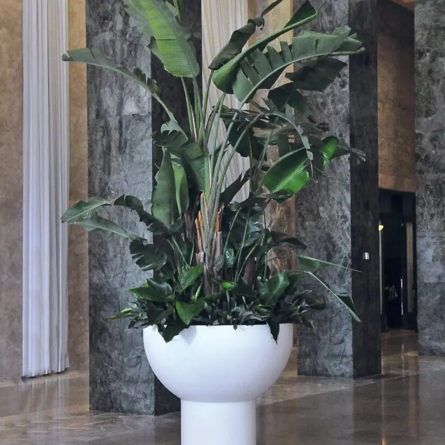 Primavera Sculptural Planter #6