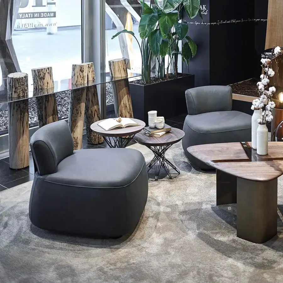 Passo Lounge Chair #4