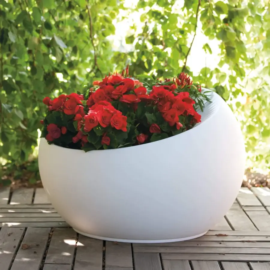 Uovo di Colombo Planter #1