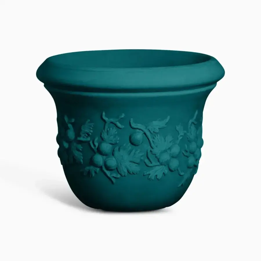 Uva Spina Planter #6