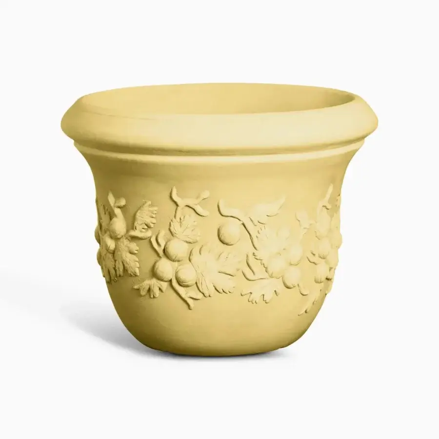 Uva Spina Planter #5
