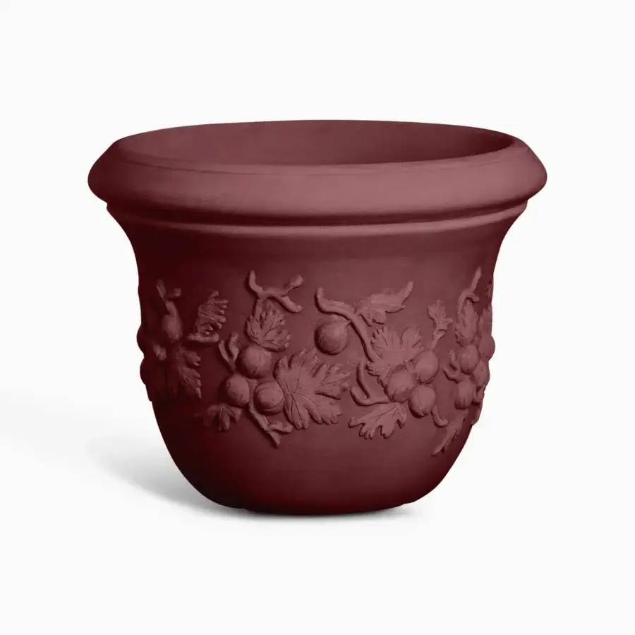 Uva Spina Planter #4