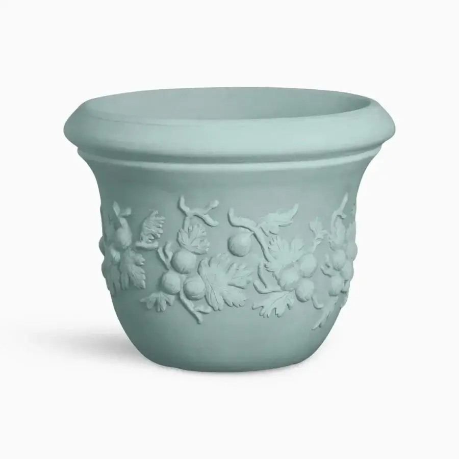 Uva Spina Planter #2