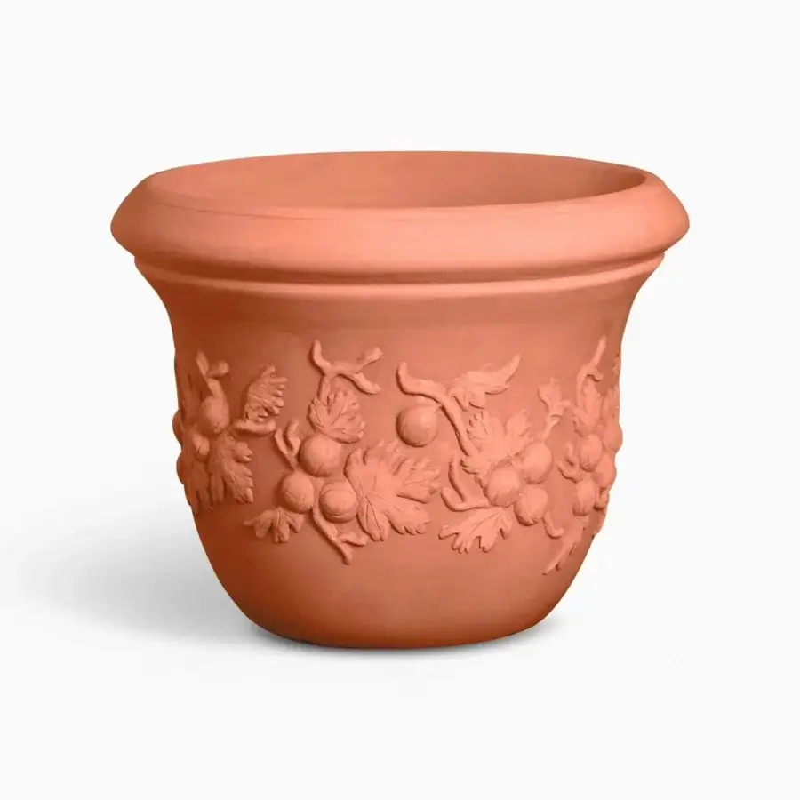 Uva Spina Planter #3