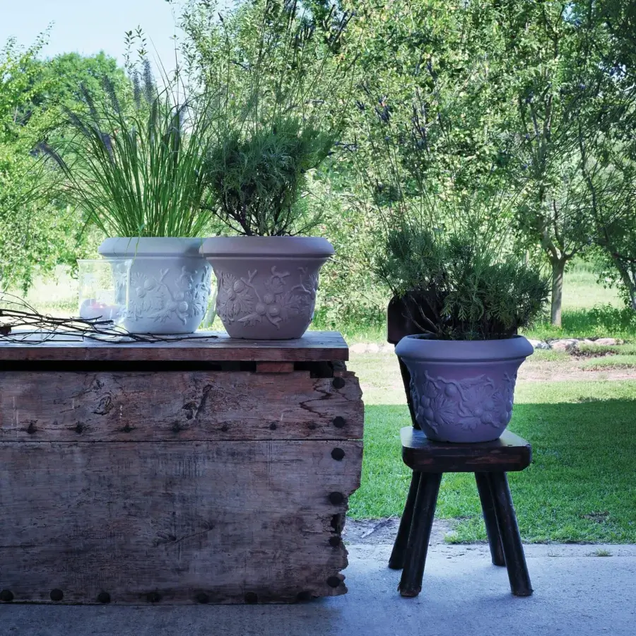 Uva Spina Planter #1
