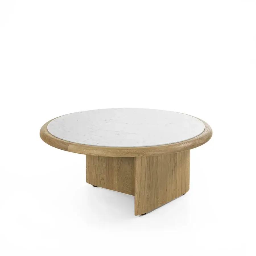 Suiseki Marble Coffee Table #6