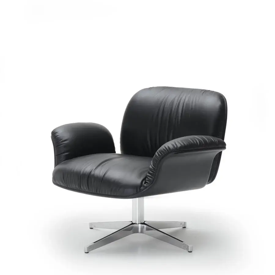 Bruma Armchair #1