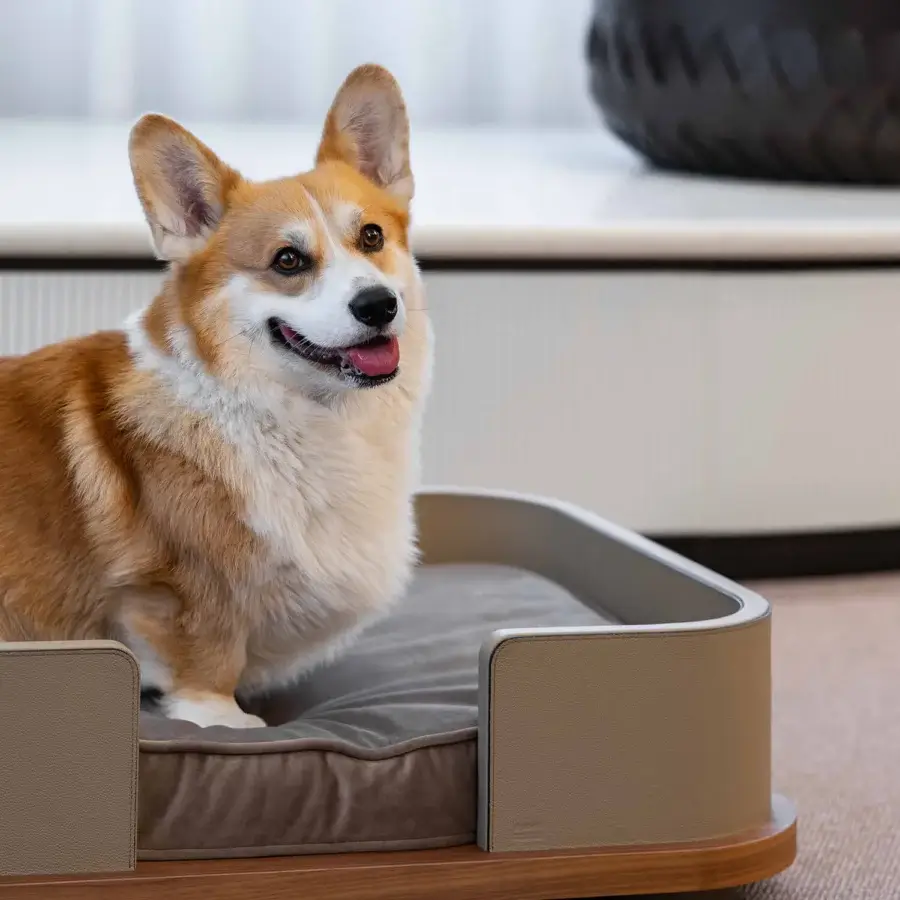 Kumo Pet Bed #11