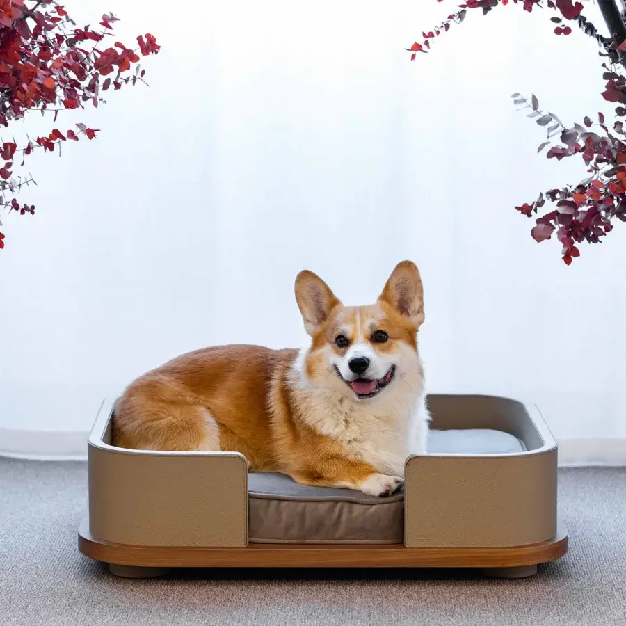 Kumo Pet Bed #12