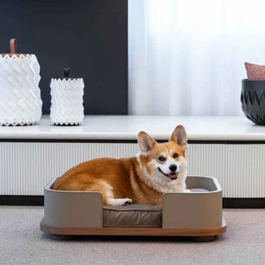 Kumo Pet Bed #13
