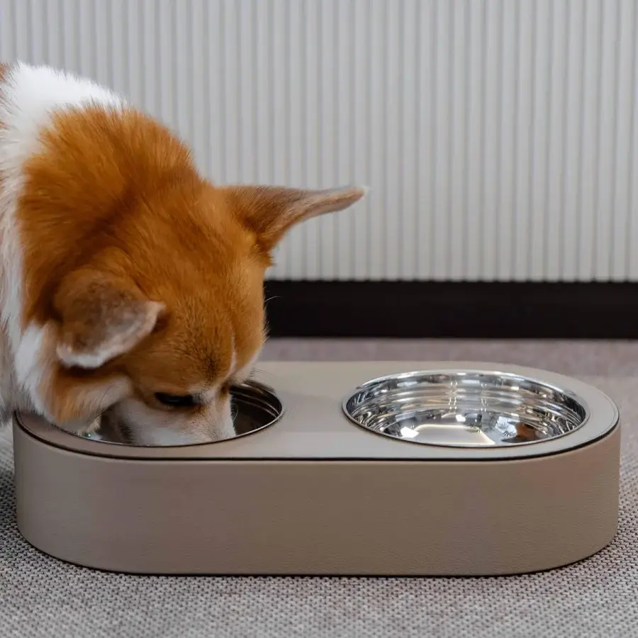 Kumo Pet Bowl #10