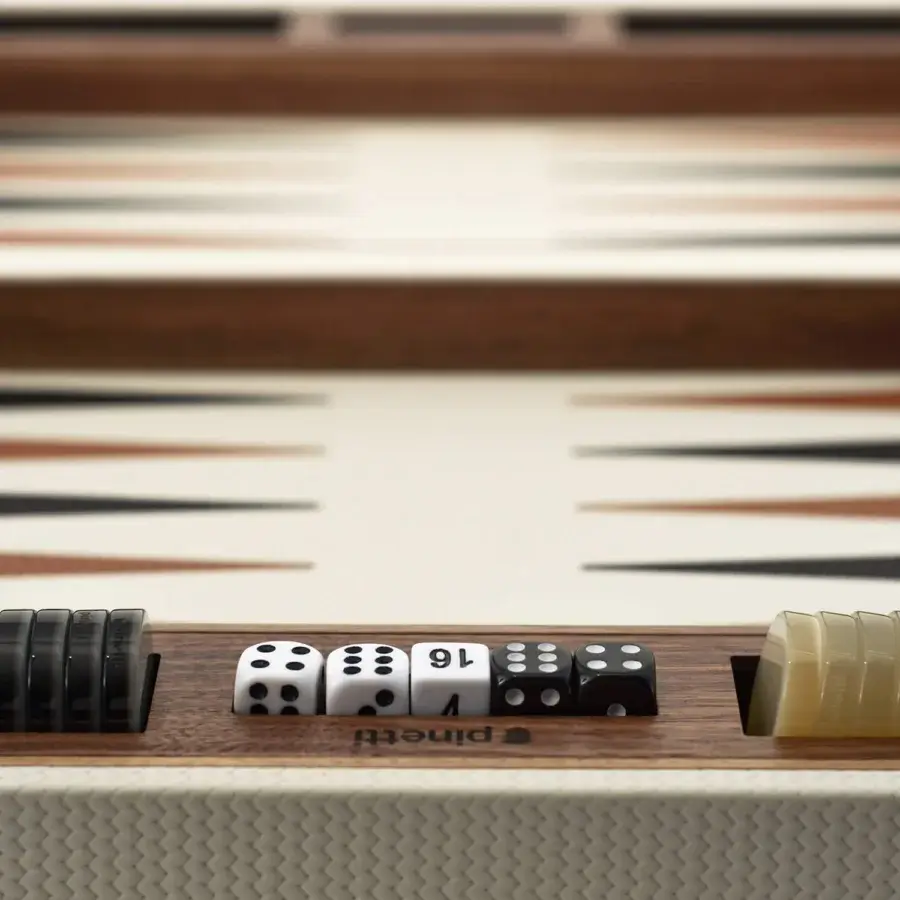 Backgammon Set #24