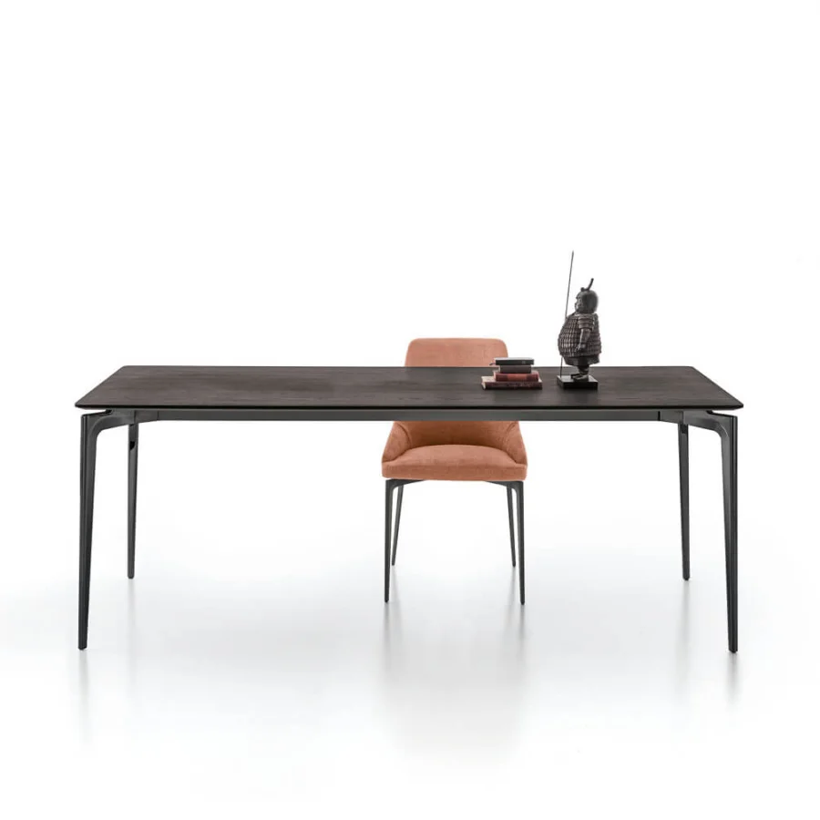 Liuto Rectangular Table #1