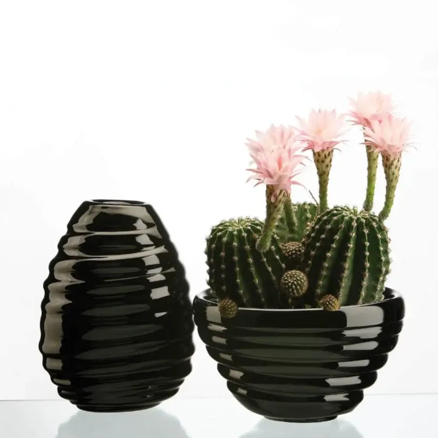 Spira Vase & Centerpiece Set #1
