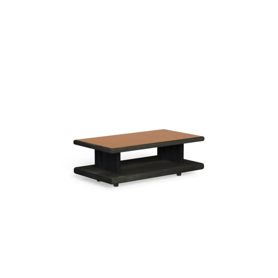 Elton Coffee Table #6