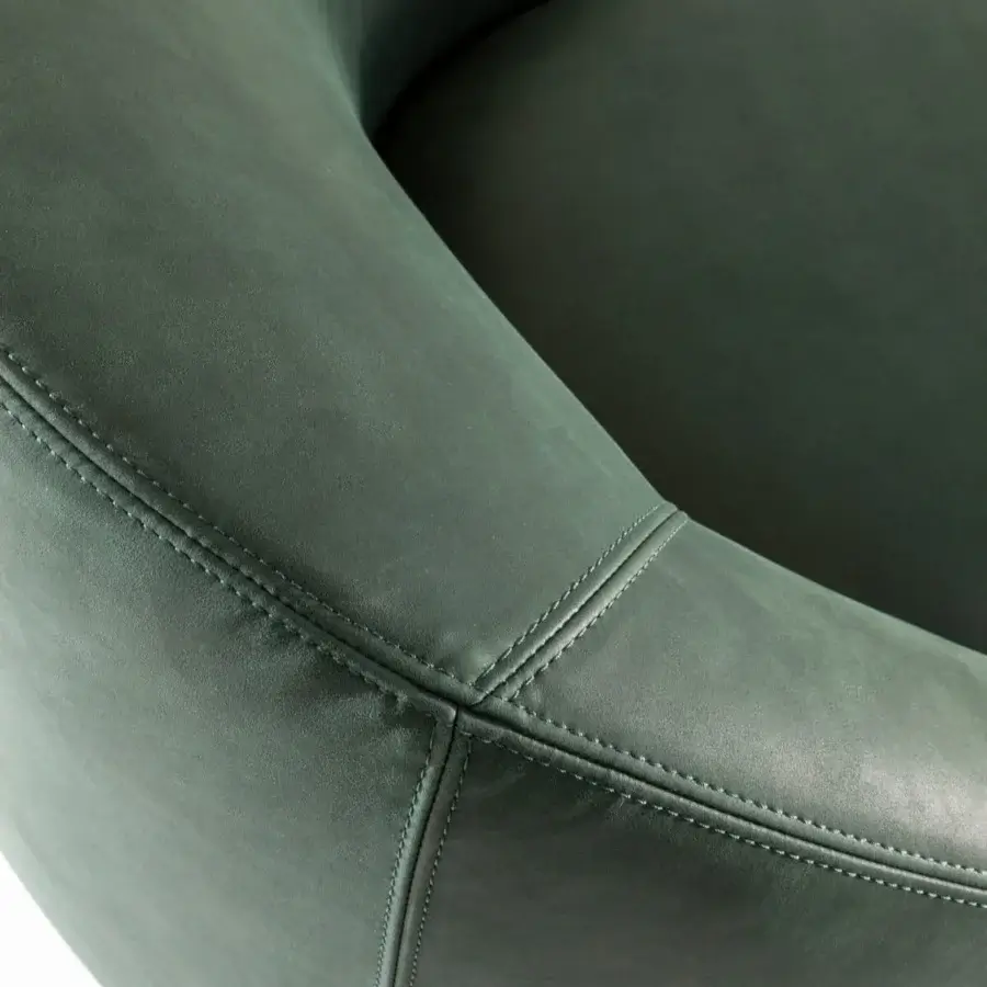 Duna Lounge Chair #10