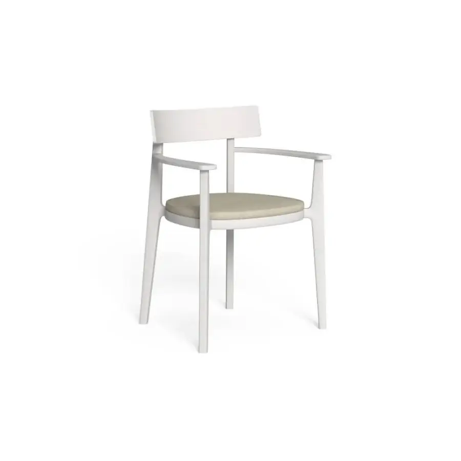 Ever Alu Armchair #4