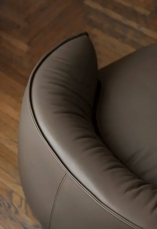 Brioni Lounge Chair #9
