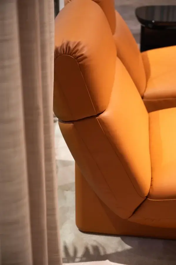 CPRN Homood Brenda Lounge Chair #2