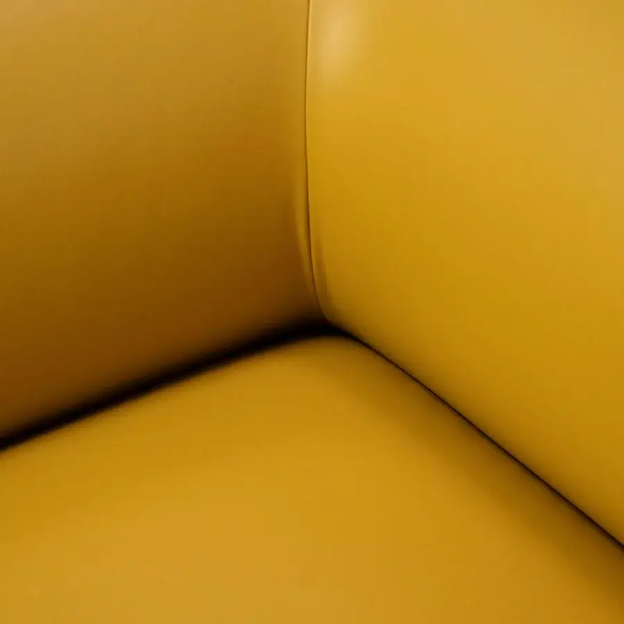 Egoitaliano Aster Lounge Chair #4