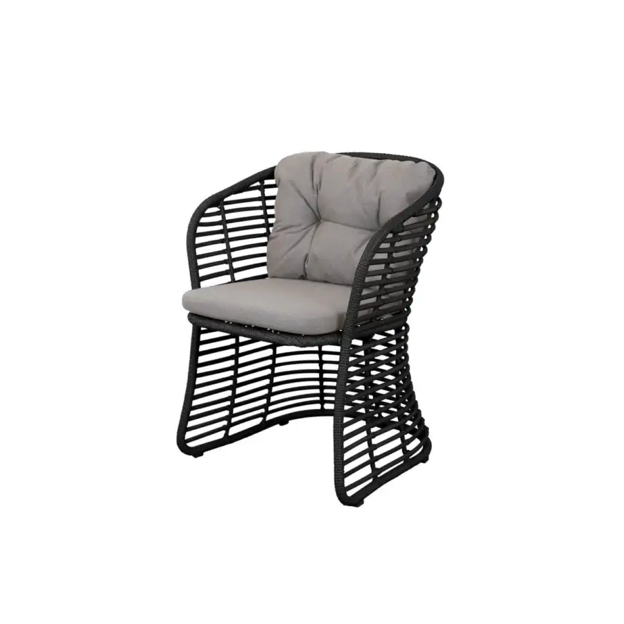 Cane-Line Basket Dining Chair #26