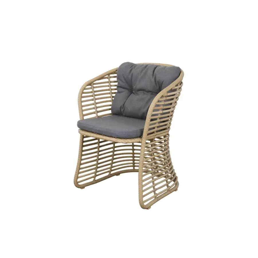 Cane-Line Basket Dining Chair #19