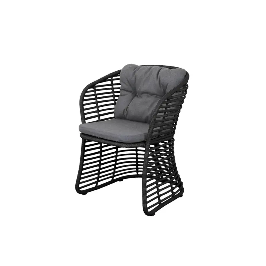 Cane-Line Basket Dining Chair #29
