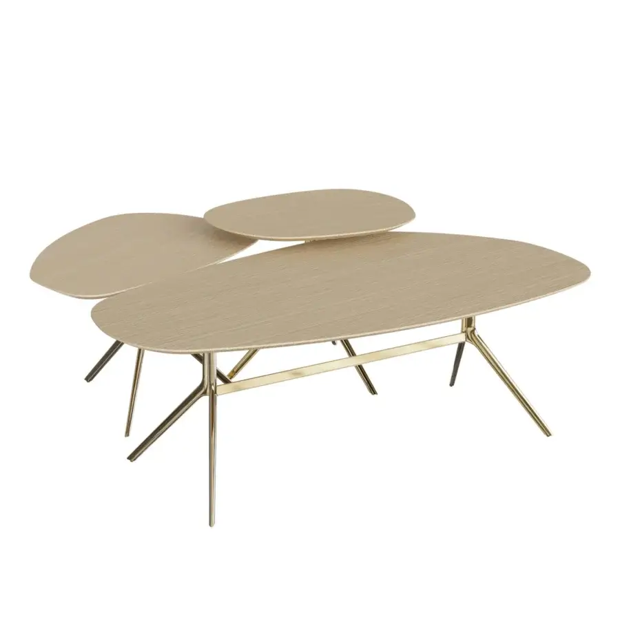 Furla Casa Ballet Wood Coffee Table #4
