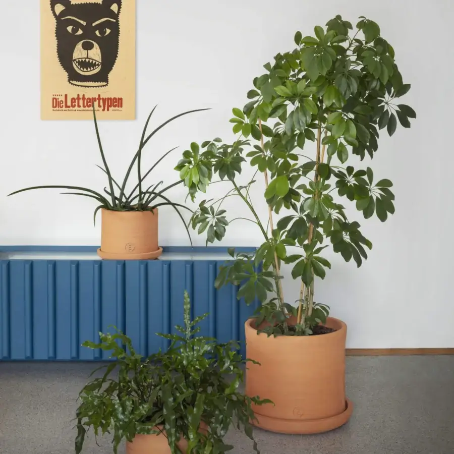 Miniforms Vavava' Planter #2