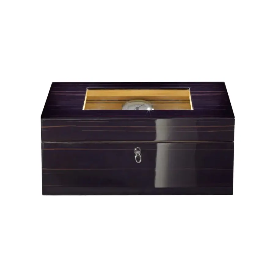 Agresti Avana Humidor #2