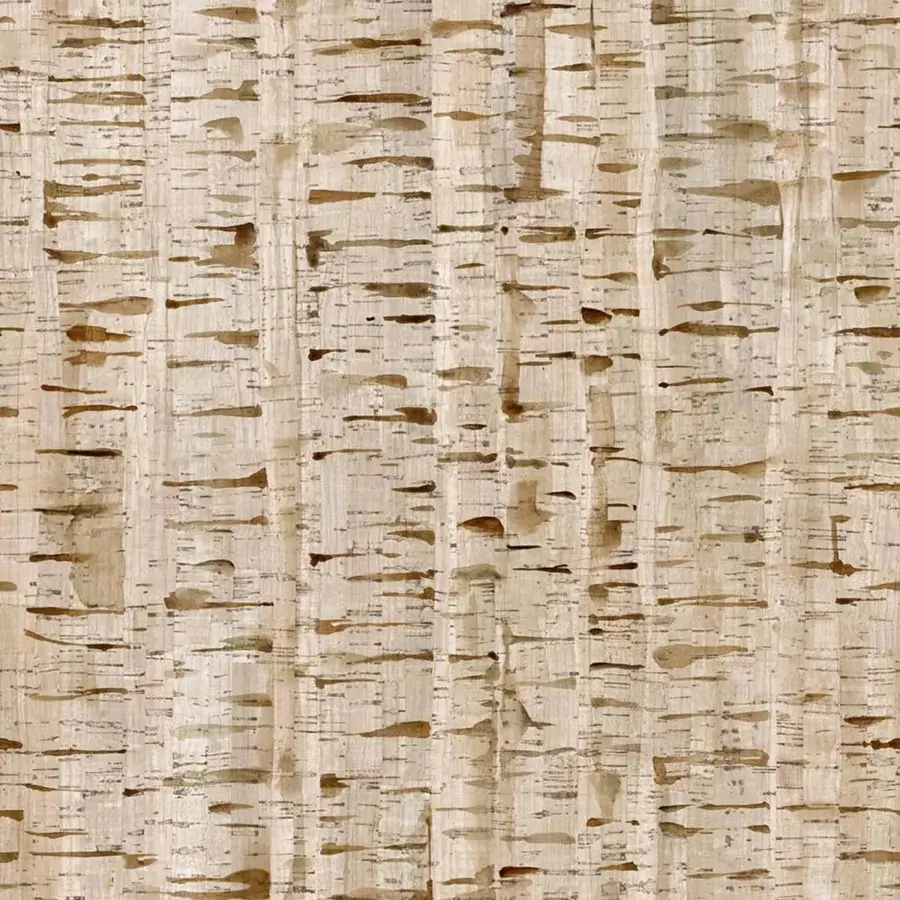 Tecnografica Italian Wallcoverings Birch Wood Wallpaper #4