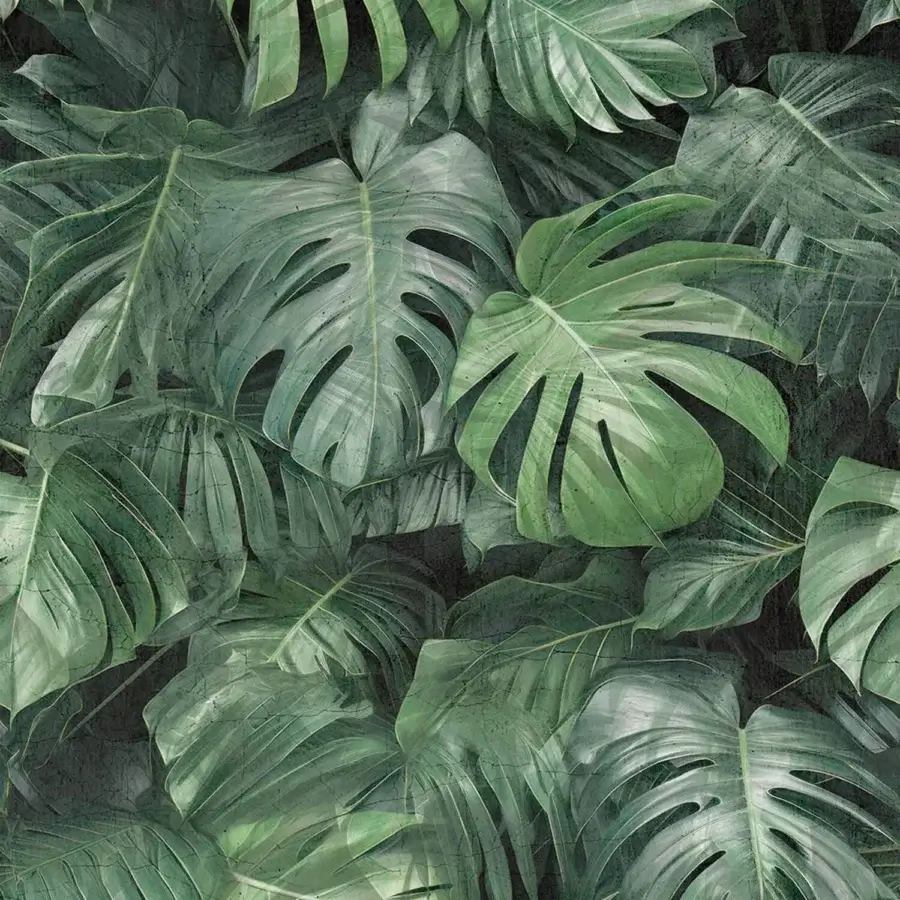 Tecnografica Italian Wallcoverings Photographic Jungle Wallpaper #1