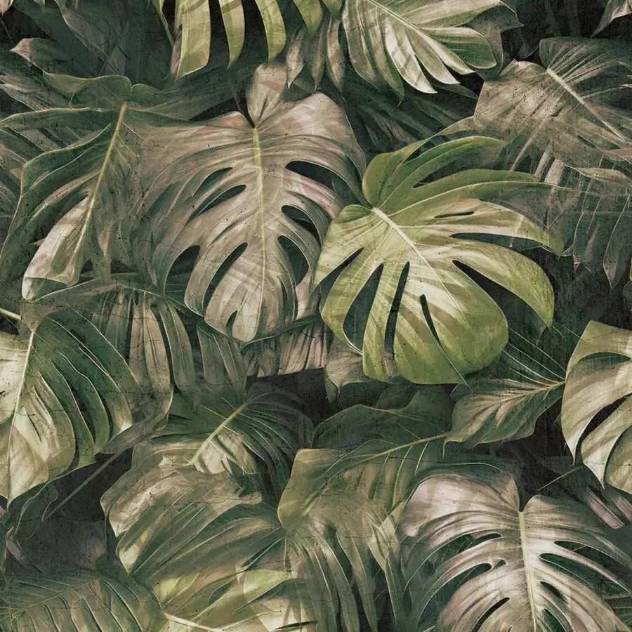 Tecnografica Italian Wallcoverings Photographic Jungle Wallpaper #3