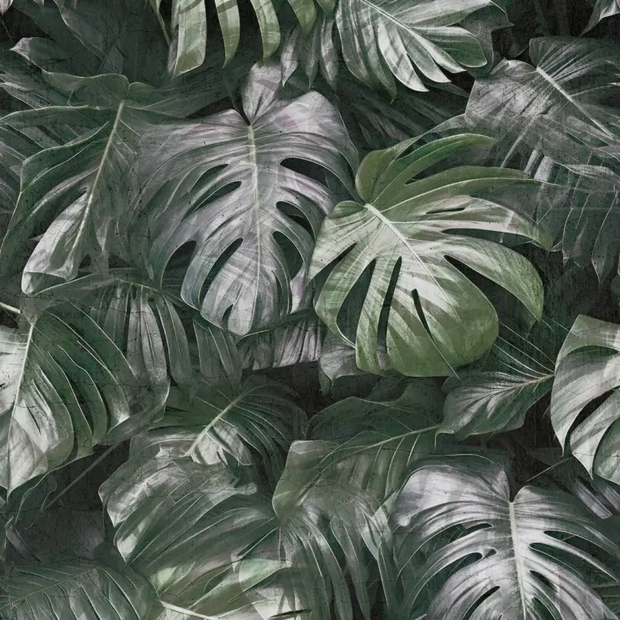 Tecnografica Italian Wallcoverings Photographic Jungle Wallpaper #4