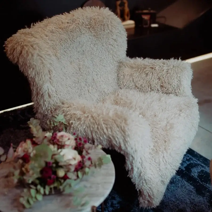 JR Home by John Richmond THE ESKIMO Lounge Chair #5