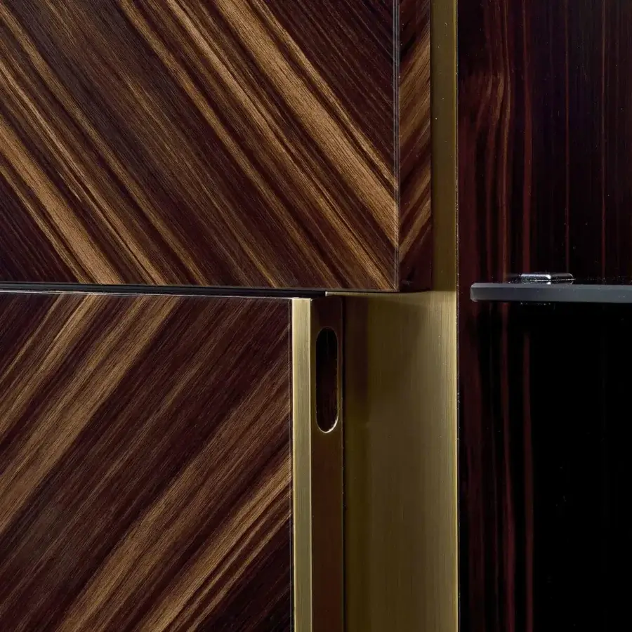 Exceptional Rugiano Blade cupboard with ebony wood structure and doors, complemented by metallic details and a dark brown finish
