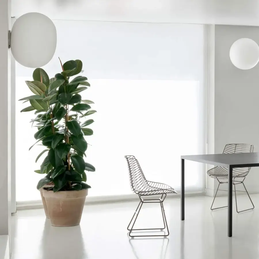 Distinguished MDF Italia Flow Filo chair with a geometric wireframe built from steel rods in a matt black nickel finish