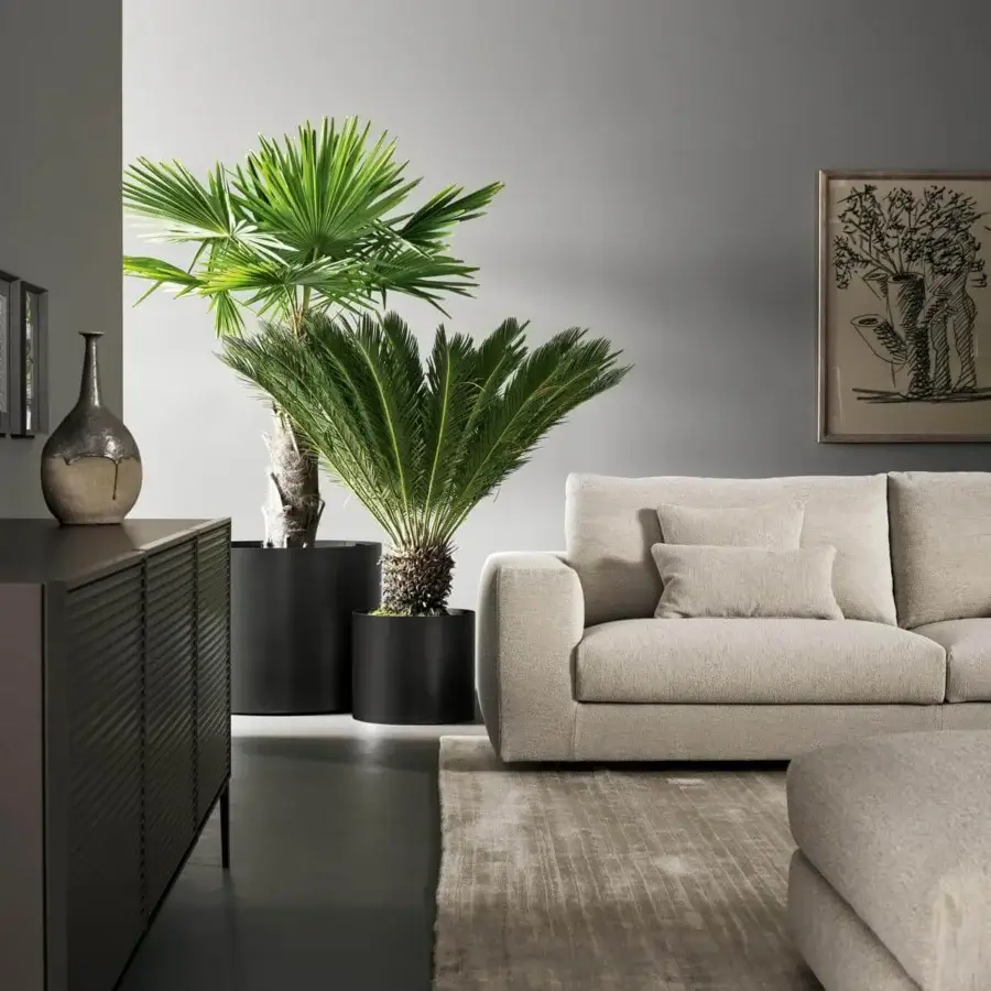 Distinguished Bonaldo Metal Planter accent crafted in matte black metal with a lead finish for patios and terraces