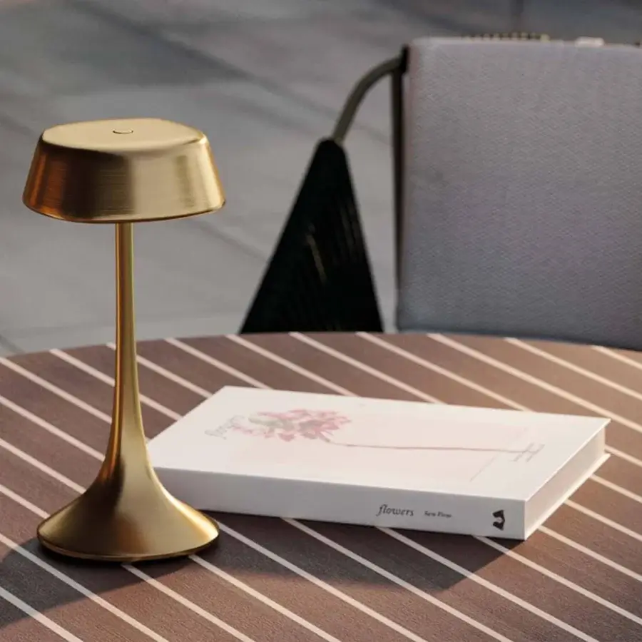 Distinguished Rugiano Wanda lamp crafted in Italy with gold metal and brushed brass finish embodying contemporary style